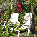 住宿加早餐酒店 La Rosa Rossa 3*