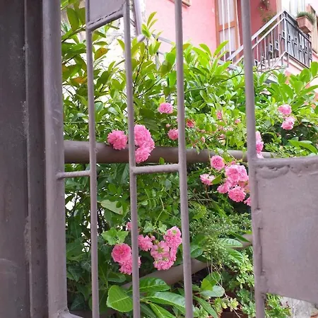 Bed & Breakfast La Rosa Rossa *