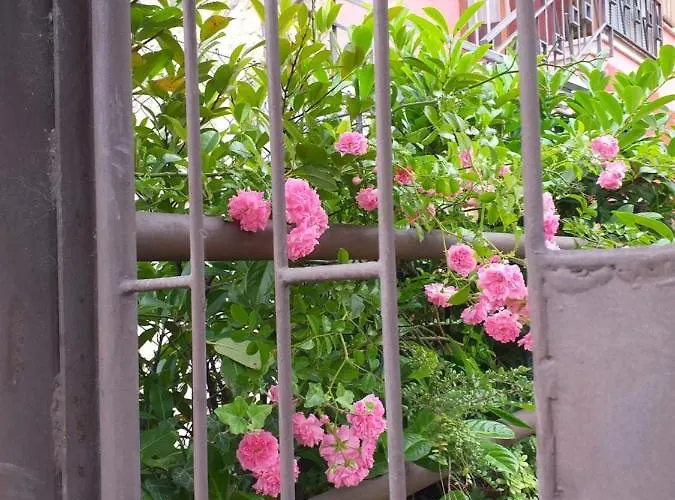住宿加早餐酒店 La Rosa Rossa 3*